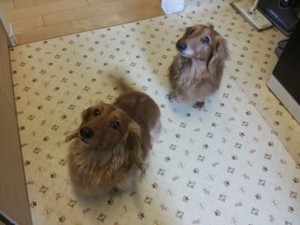 あーちゃん＆たっちゃん