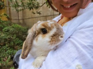 うさんぽ