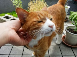 リョウくん
