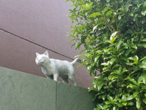 吾輩は猫である