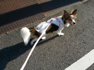 あいらちゃん