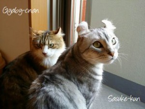さすけくんとギャビーちゃん