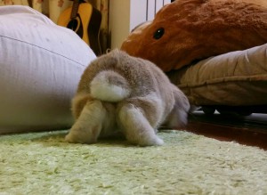 20150403_093026