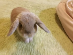 20150403_093059