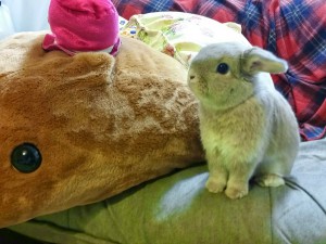 20150403_094355