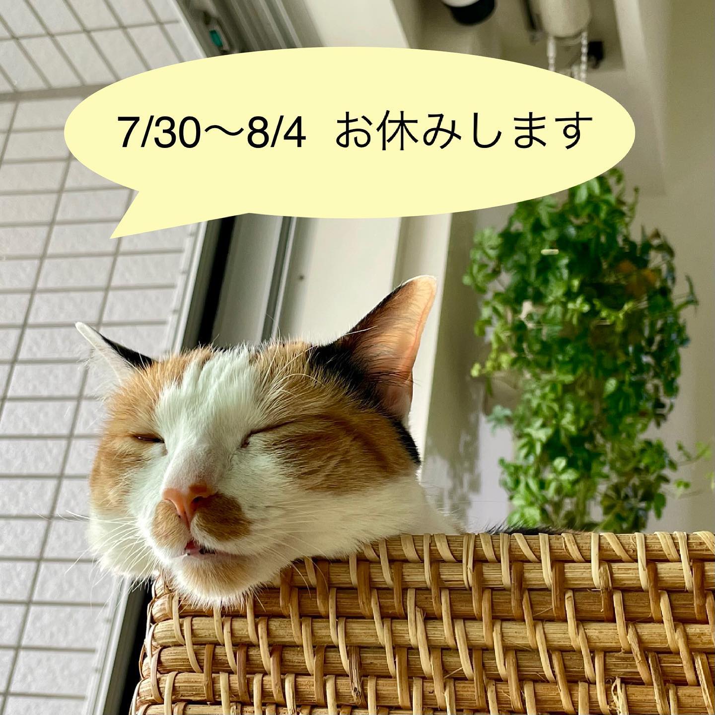 いつもご利用いただき、ありがとうございます。当店都合により、7月30日(金)〜8月4日(水)までお休みをさせていただきます。ご不便をおかけいたしますが、どうぞよろしくお願いいたします。