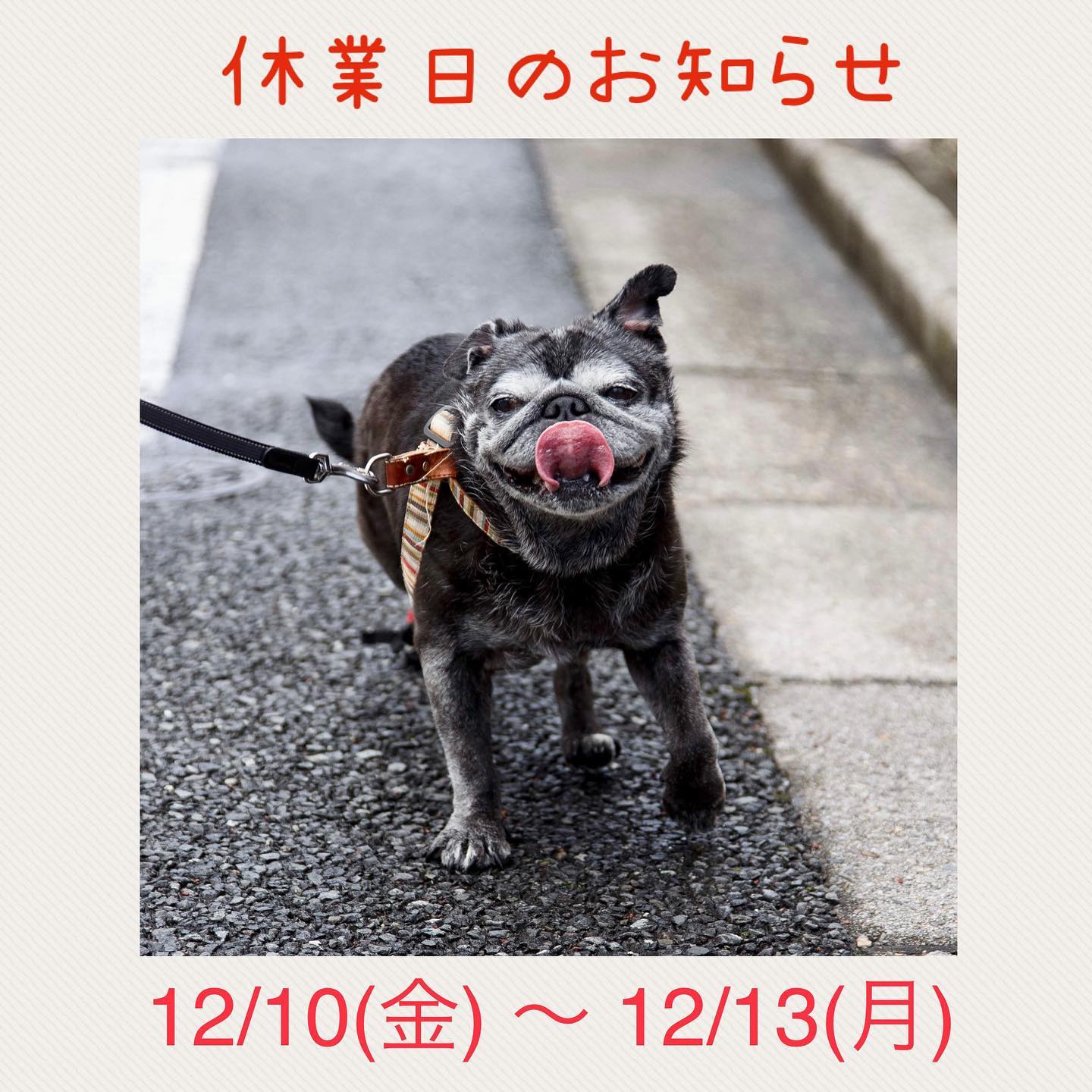 年末年始のご依頼がどんどん入って来ております！今年は、年始よりも年末が混んでおります。お出かけのご予定がある方は、お早めにお知らせ下さいませ
