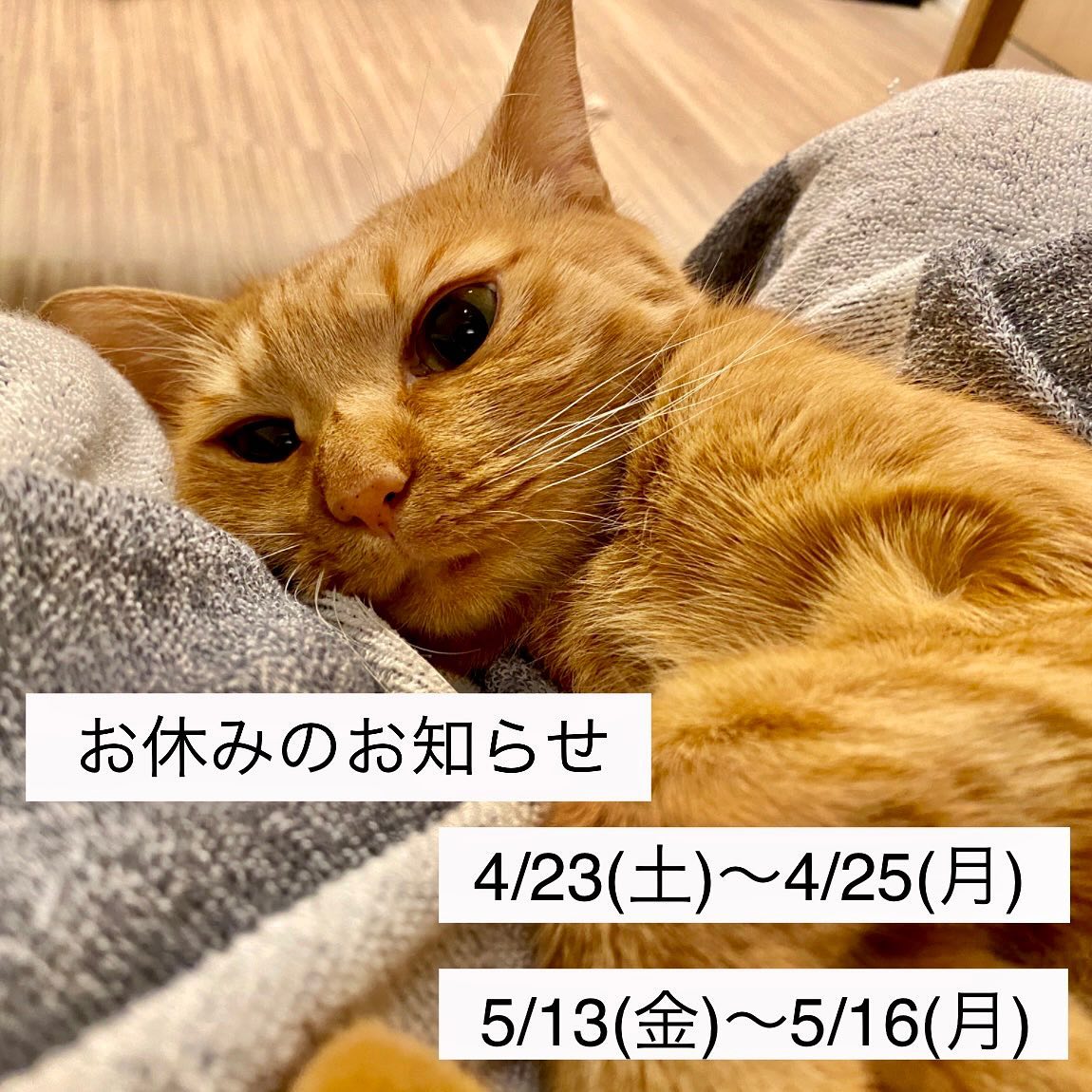 お休みをさせていただきます。ご不便をおかけいたします♀️