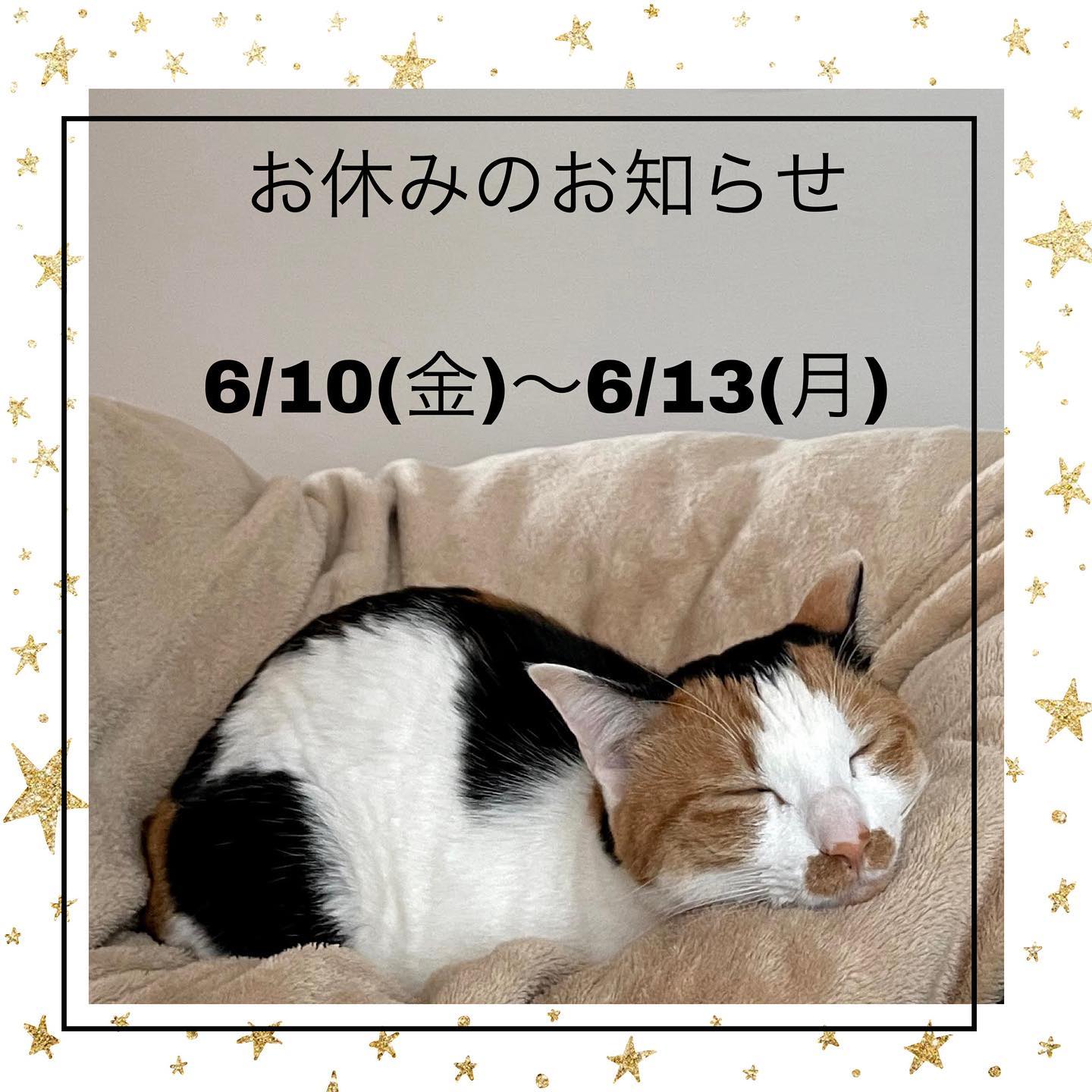 怒涛のGW、無事終了です?やっと忙しいGWが戻って来て、ホッ。みんなお留守番頑張れました?そして、早くもお盆休みが混み合い始めております。お出かけのご予定がある方は、お早めにお知らせ下さいませ。6月もお休みをさせていただきます?ご不便をお掛けいたします。