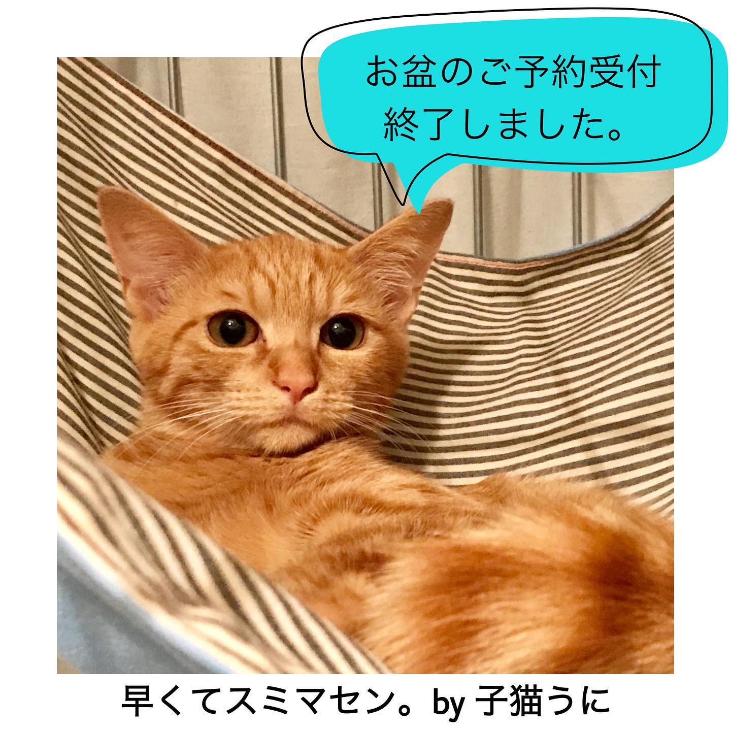お盆期間（8/11〜8/16）、8/17、8/20のご予約の受付を終了させていただきました?エリアによっては追加が出来る場合もございますので、リピーターの方はご相談下さいませ。