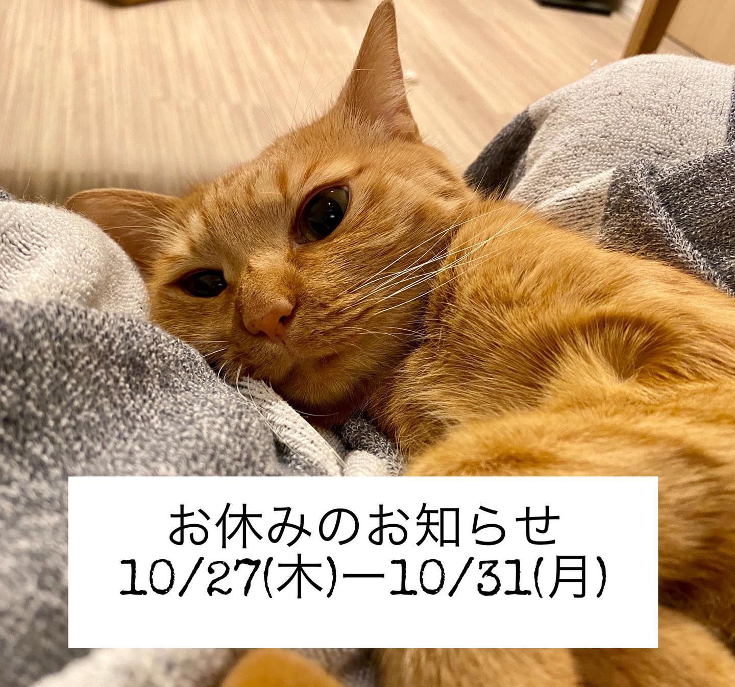 お休みのお知らせです。10月27日(木)〜10月31日(月)の期間、休業とさせていただきます?何卒、よろしくお願いいたします。