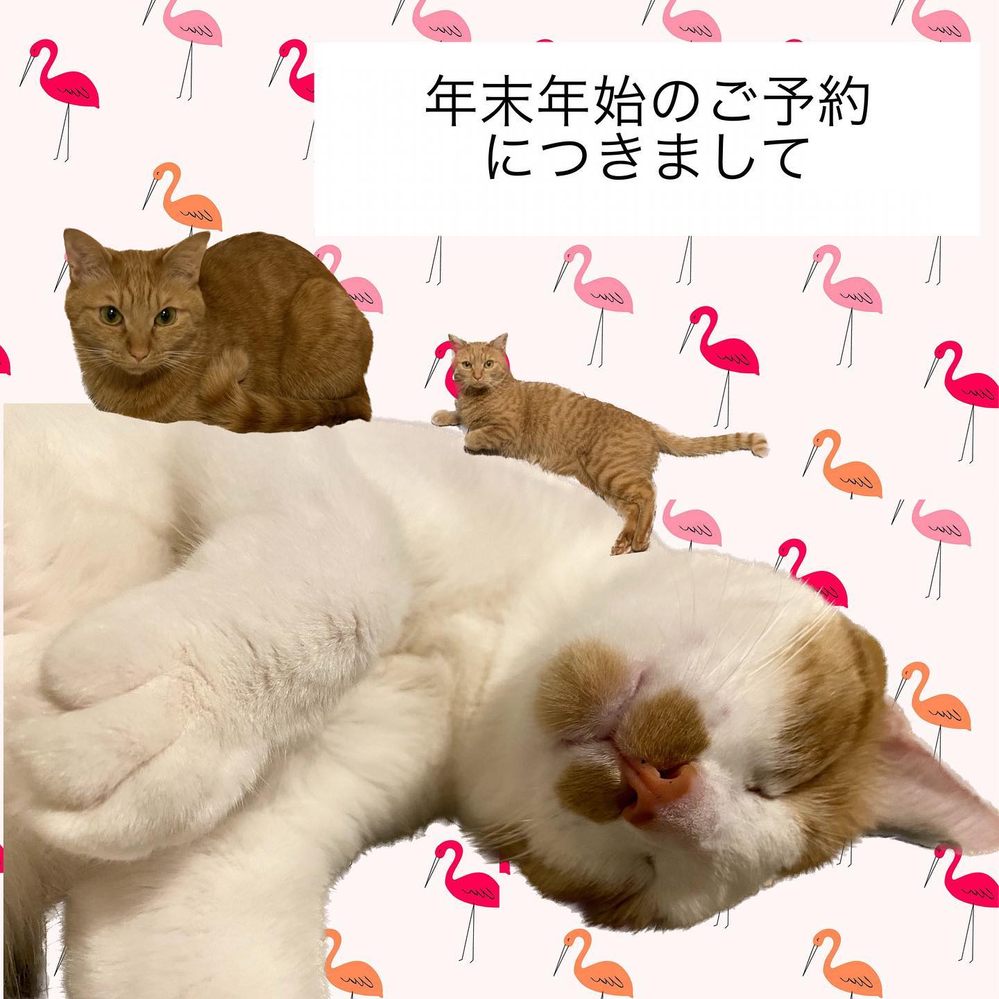 10月になりましたね！今年も残すところ3ヶ月です?‍♀️年末年始のご予約を受け付けておりますが、12/31が非常に混み合っており、その日のみ受付を終了とさせていただきました。12/29〜1/4まで年末年始割増期間となります。尚、年末年始期間のご利用はリピーターの方のみとさせていただいております。いつもたくさんのご予約を頂戴し、本当にありがとうございます！?