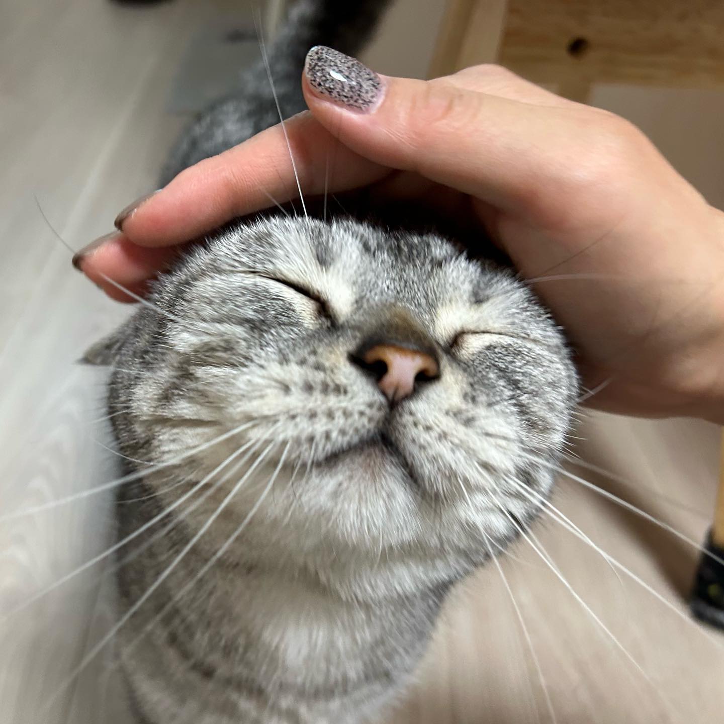 ひなとくん弟くんと妹ちゃんに遠慮してしまうので、遊ぶ時だけ隔離してみたら楽しそうに遊んでくれた?優しい性格が顔に出るのか、お地蔵さんスマイル